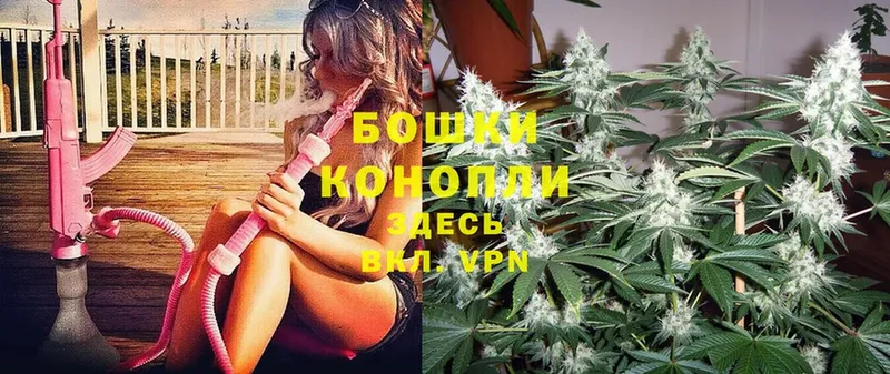 Конопля OG Kush  Туймазы 